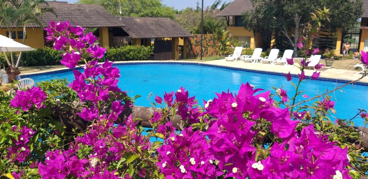 Winterville Flat 213 Гравата Экстерьер фото